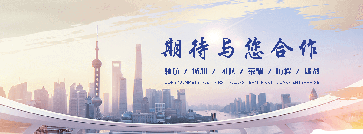 德州海狮租赁公司